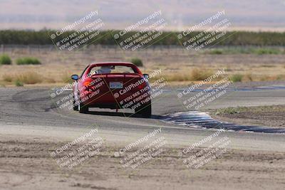 media/Oct-04-2025-OnGrid (Sat) [[44bd565ffa]]/Purple Group/Grapevine/